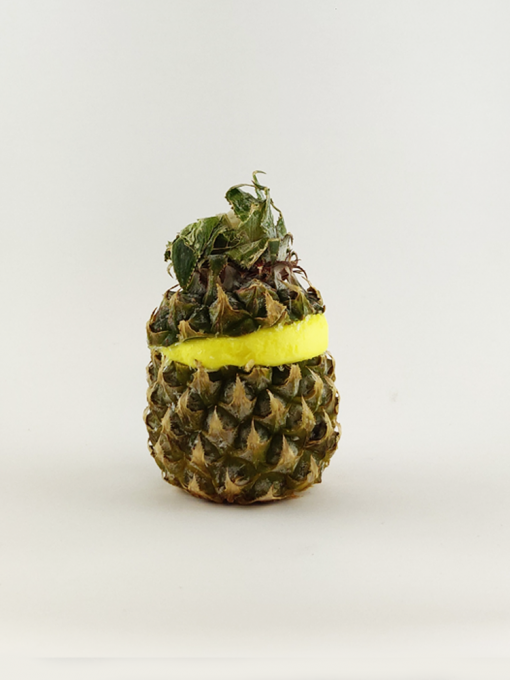 ANANAS GIVRE